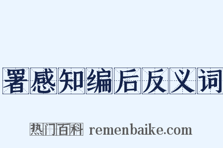署感知编后反义词是什么意思的图片
